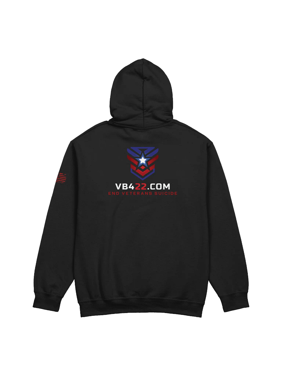 VB422 HOODIE product image (3)