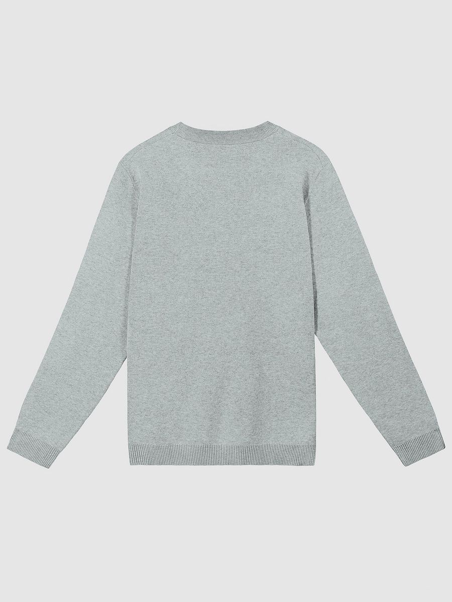 PLEASE DON'T MAKE ME TALK (light blue duotone) knitwear classic crewneck product image (7)