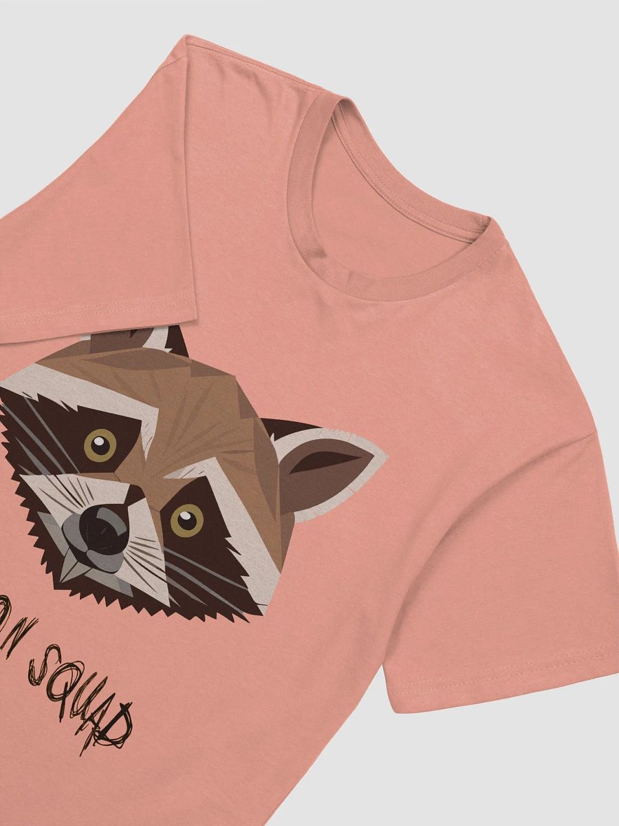 Raccoon Squad product image (15)