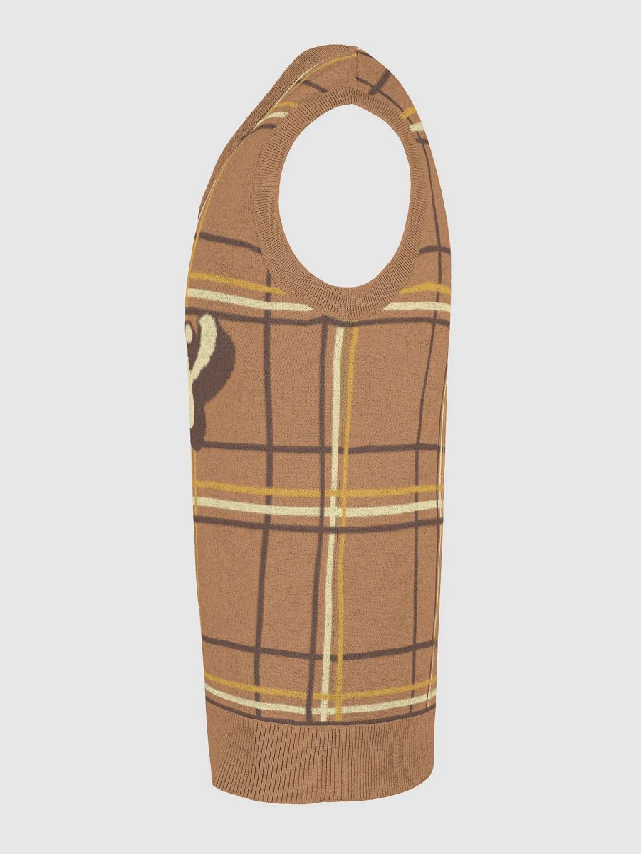 Plaid Perfection V-Neck Vest product image (28)