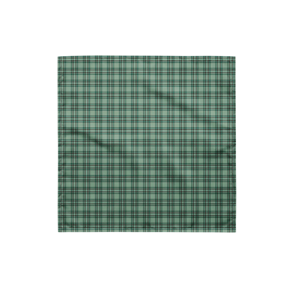 Kelly Tartan Bandana product image (4)