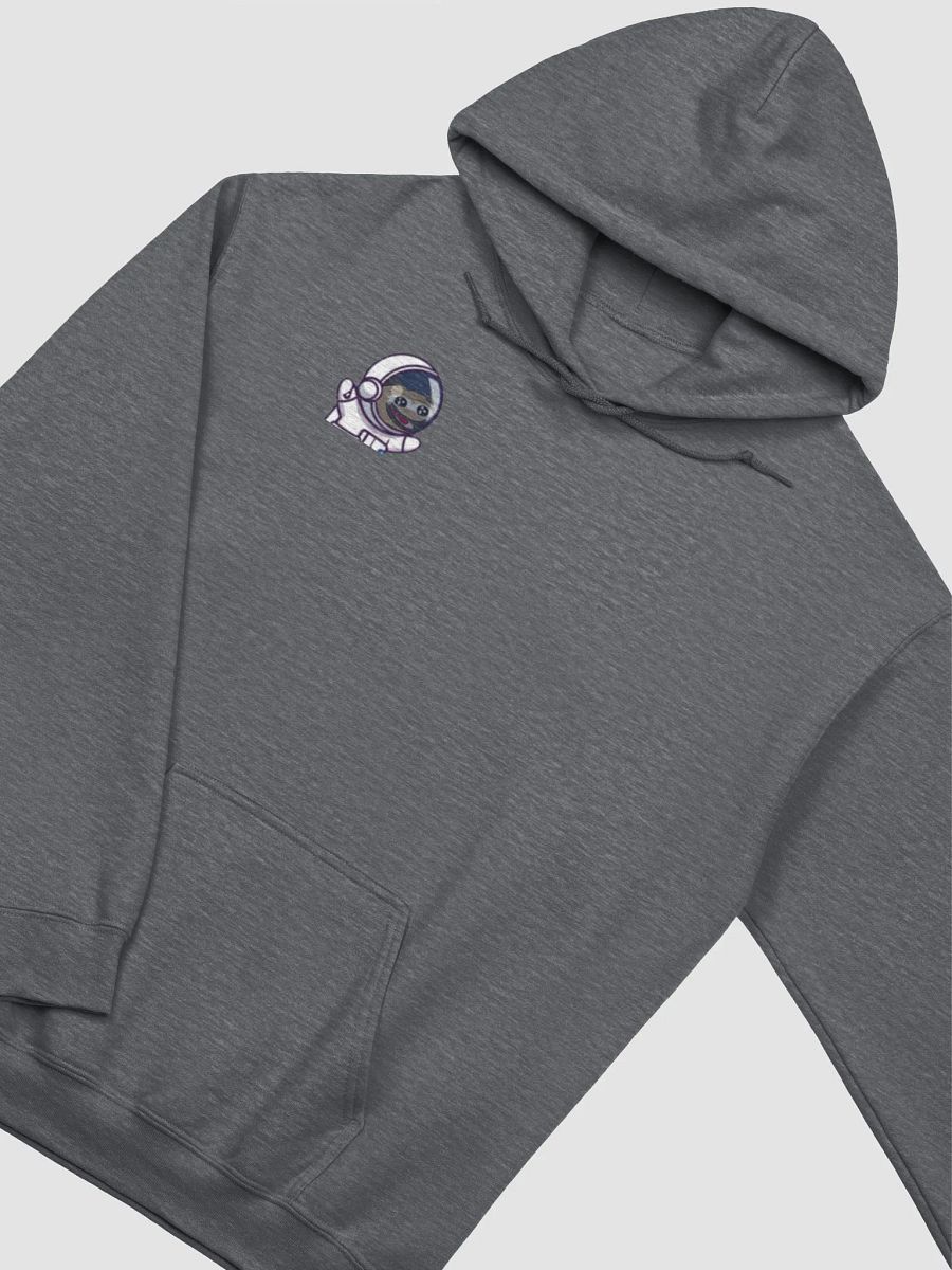 Astro Hoodie product image (35)
