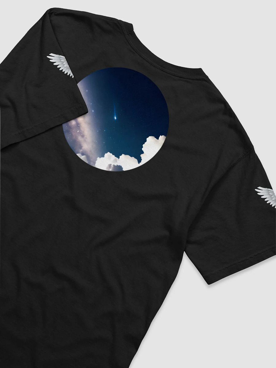 DO IT ALL Wings Comfort Heavyweight T-Shirt product image (39)