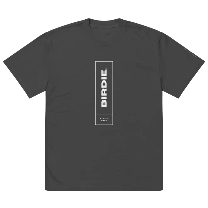 Oversized BIRDIE Since 2025 Premium Faded Tee product image (3)