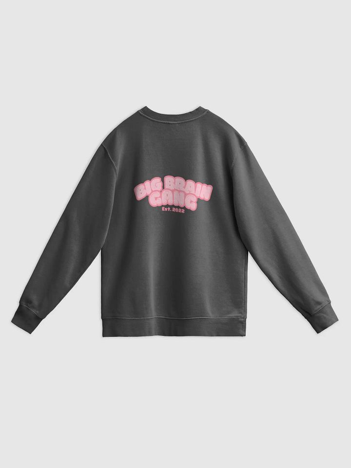 Brian Howdy / Big Brain Gang Crewneck product image (21)