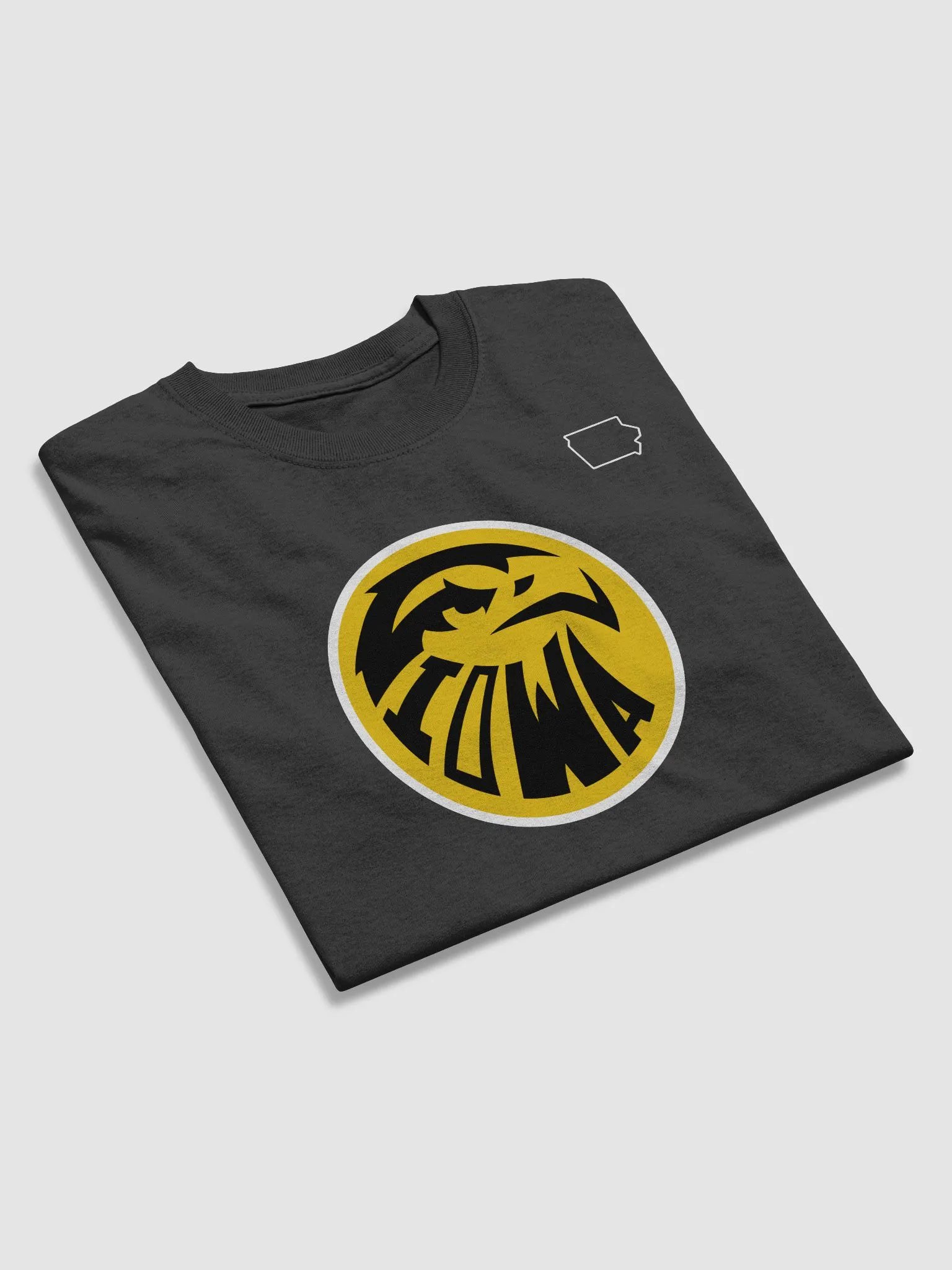 Iowa T-Shirt product image (4)