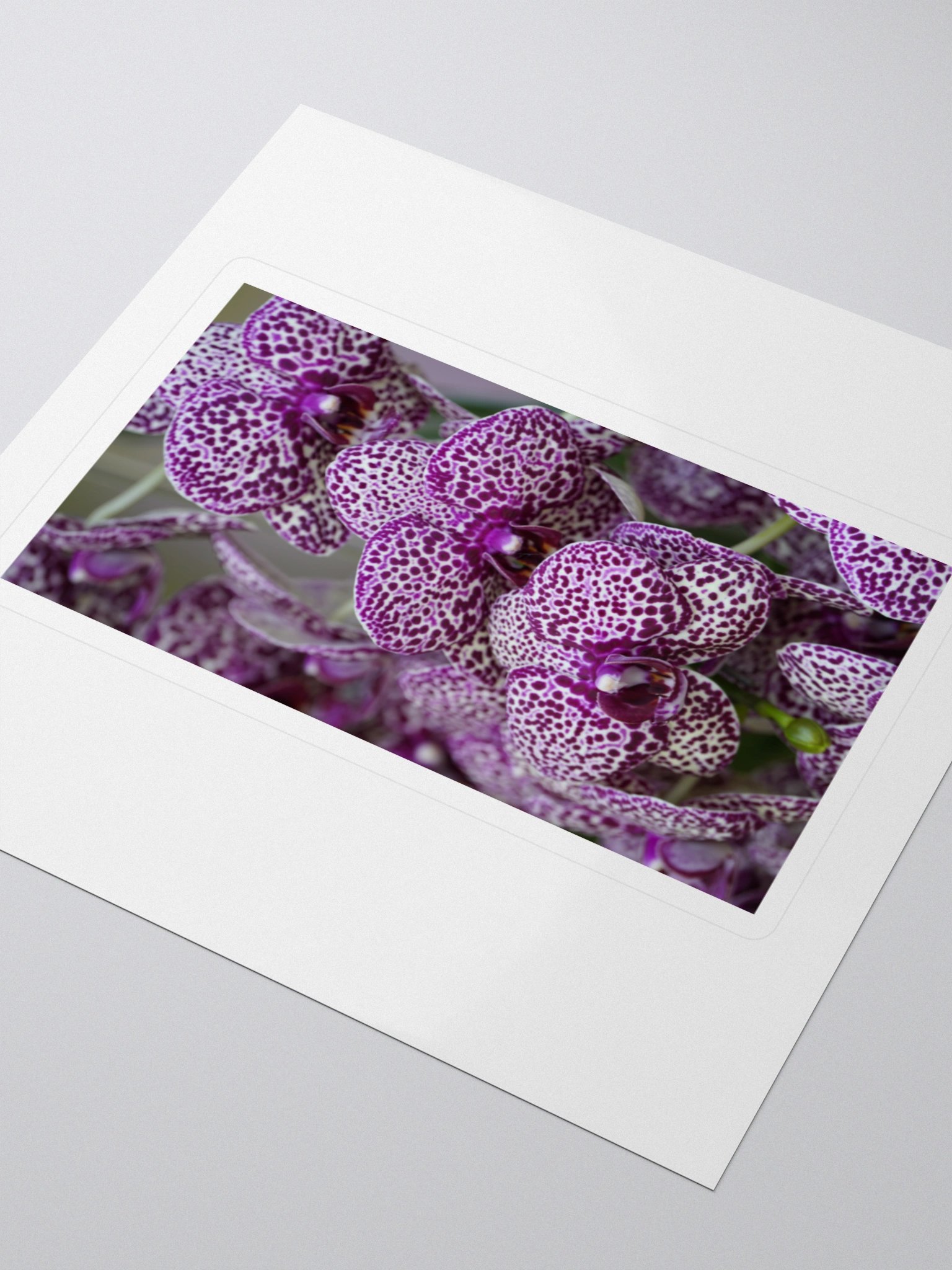Orchid Cluster Kiss Cut Stickers product image (3)