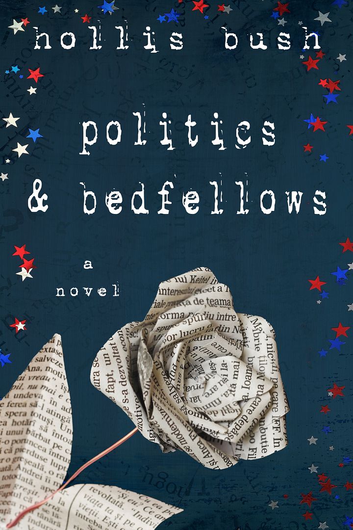 Politics & Bedfellows product image (1)