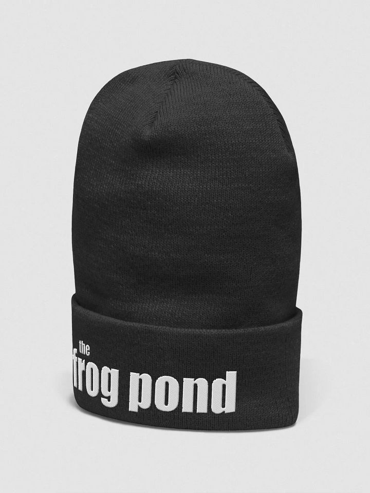 The Frog Pond Beanie product image (14)