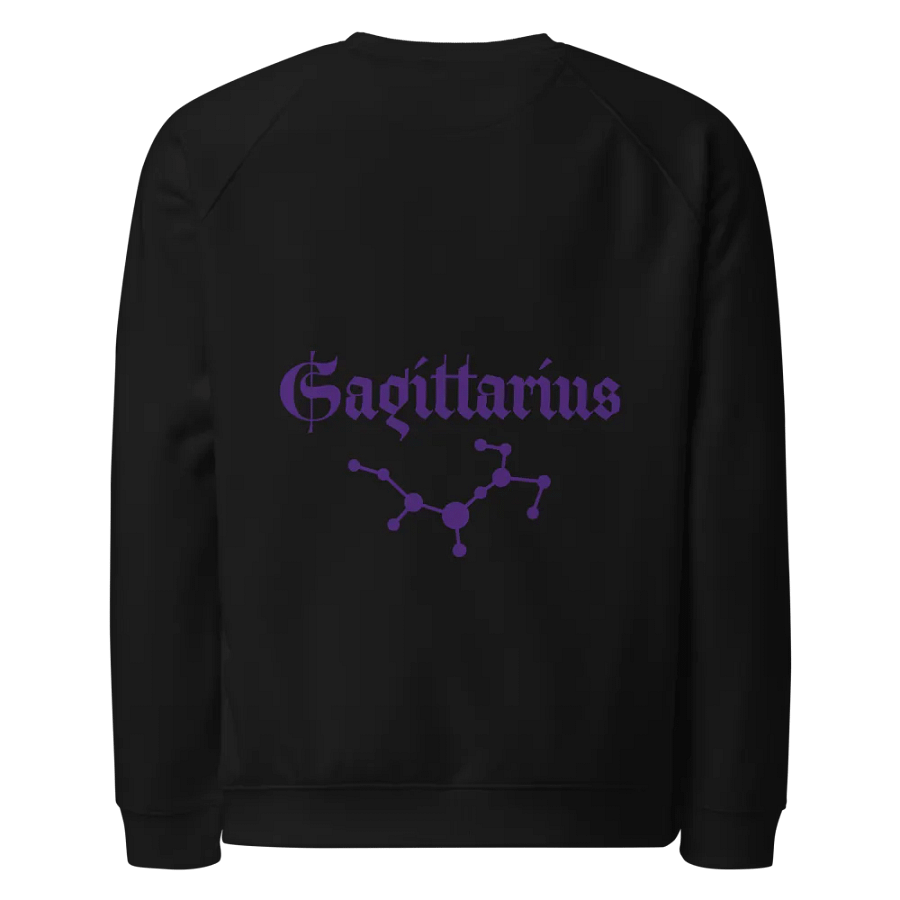 Bow & Arrow Raglan Sweatshirt product image (13)