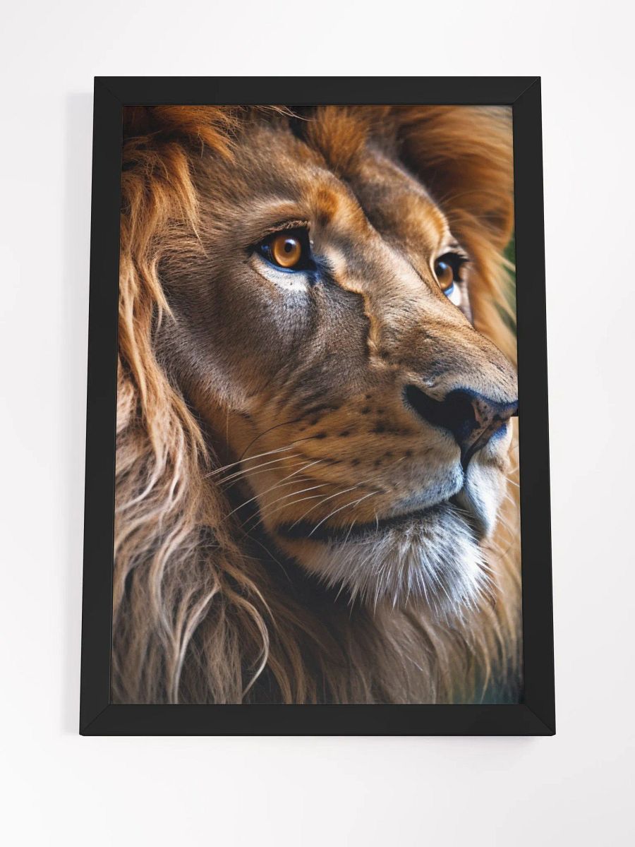 Lion - Poster product image (4)