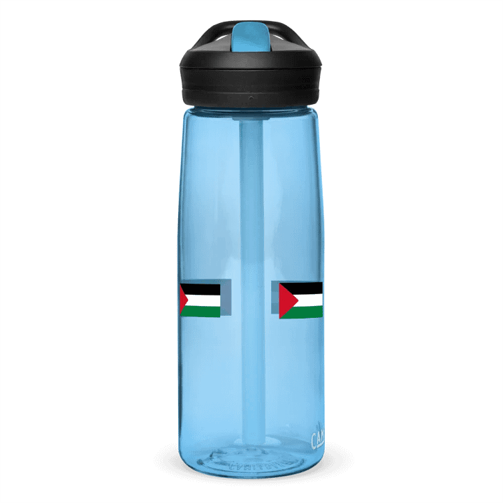 FREE PALESTINE sports bottle product image (2)