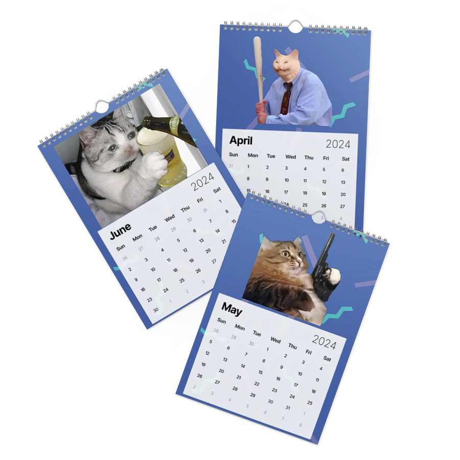 Wall Calendar (2024): Meme Cats product image (3)