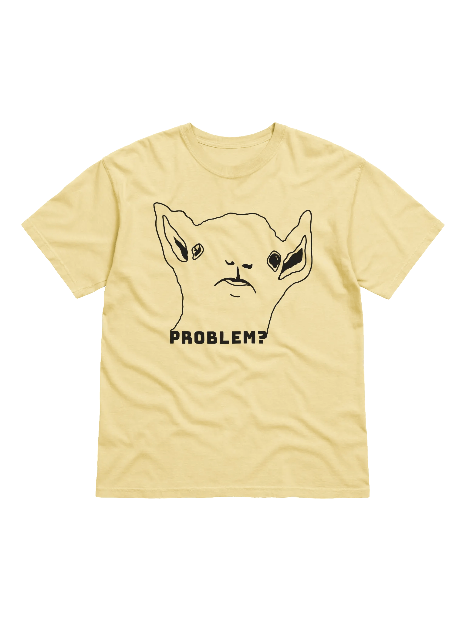 PROBLEM? - HEAVYWEIGHT T-SHIRT product image (36)