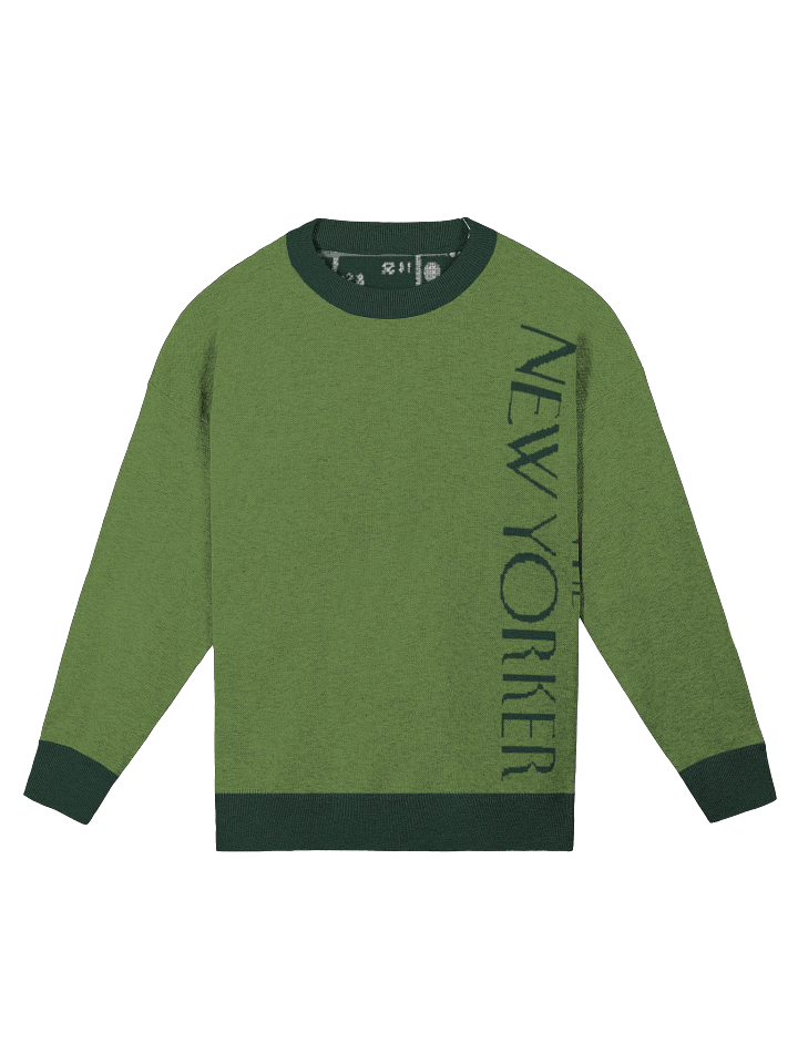 The New Yorker Relaxed Fit Knit in Grassy Pine product image (1)