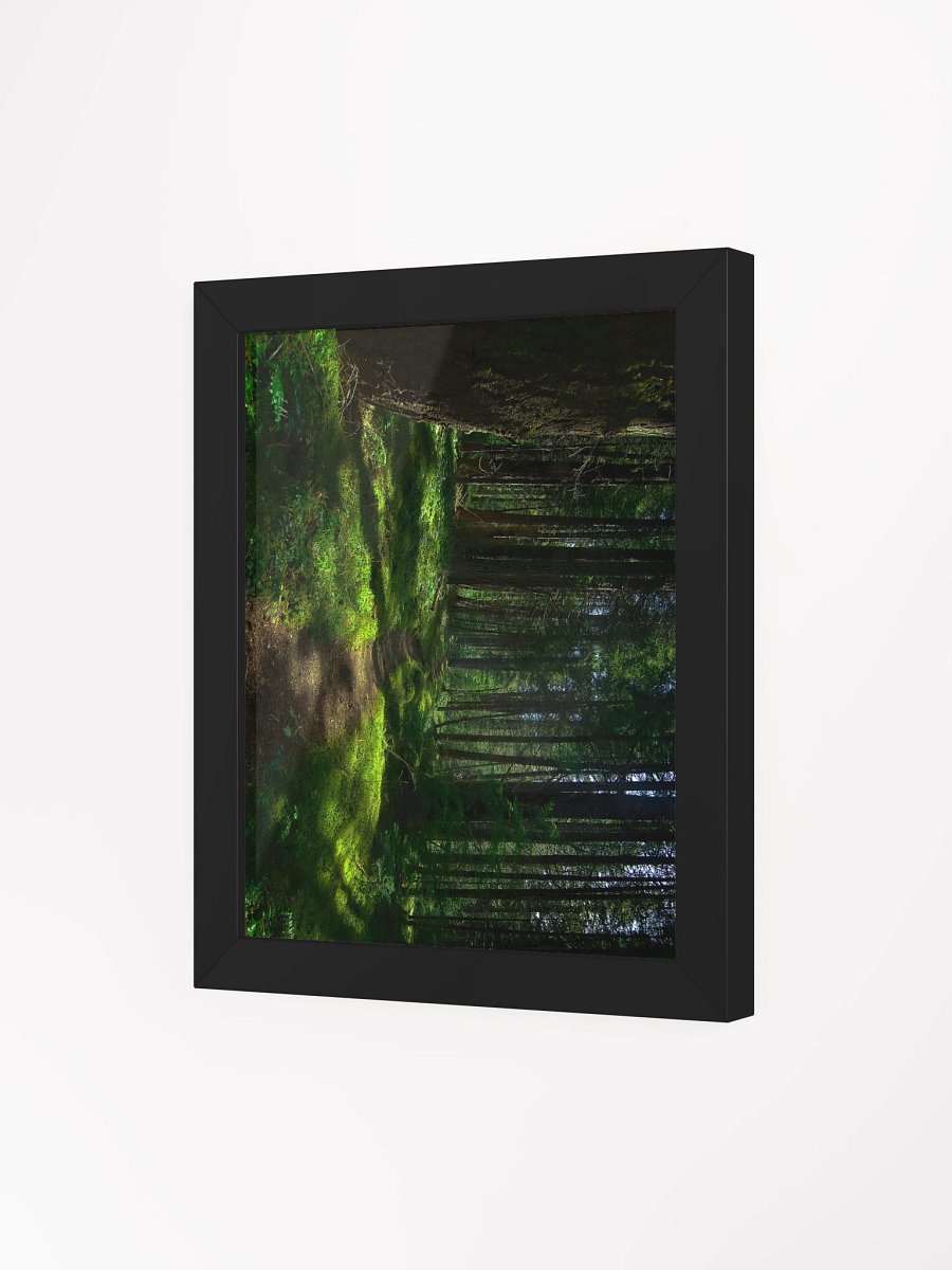 Lower Dungeness Trail Timber sun lighting Matte Poster product image (3)