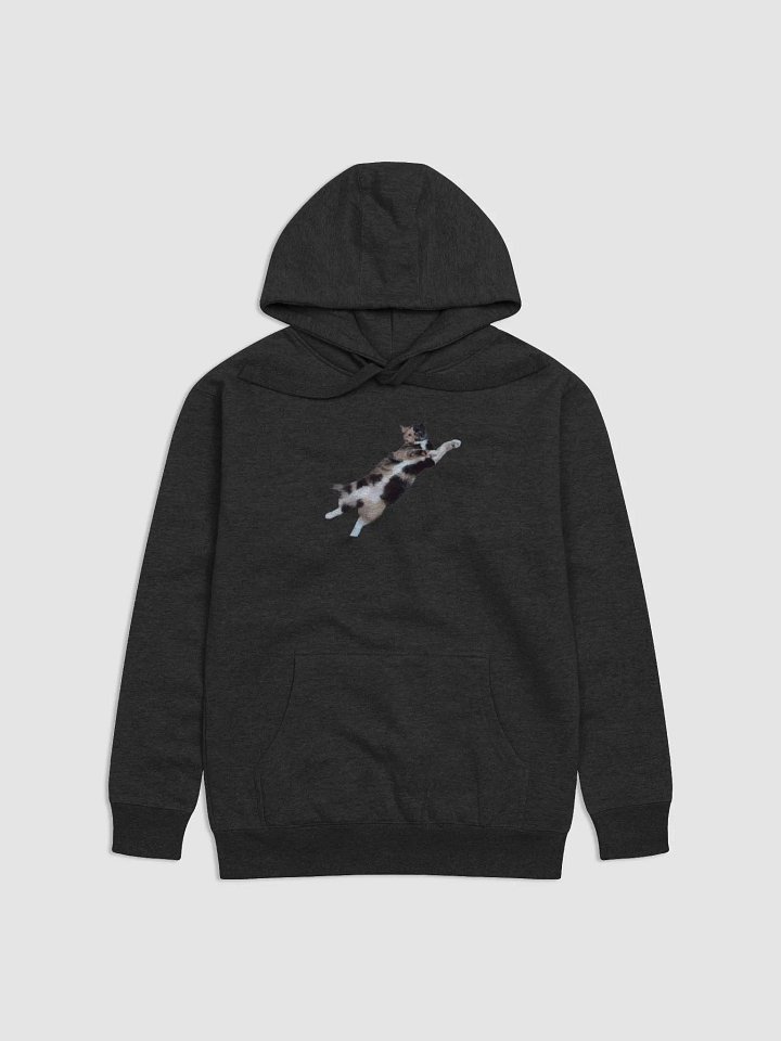 Flight of the Lyras Hoodie product image (1)