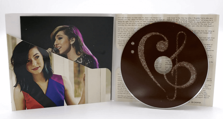 All Is Vanity CD product image (2)