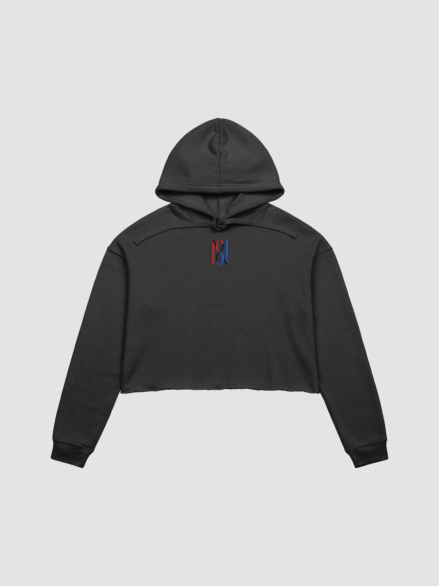 SOONIES CROP HOODIE product image (1)