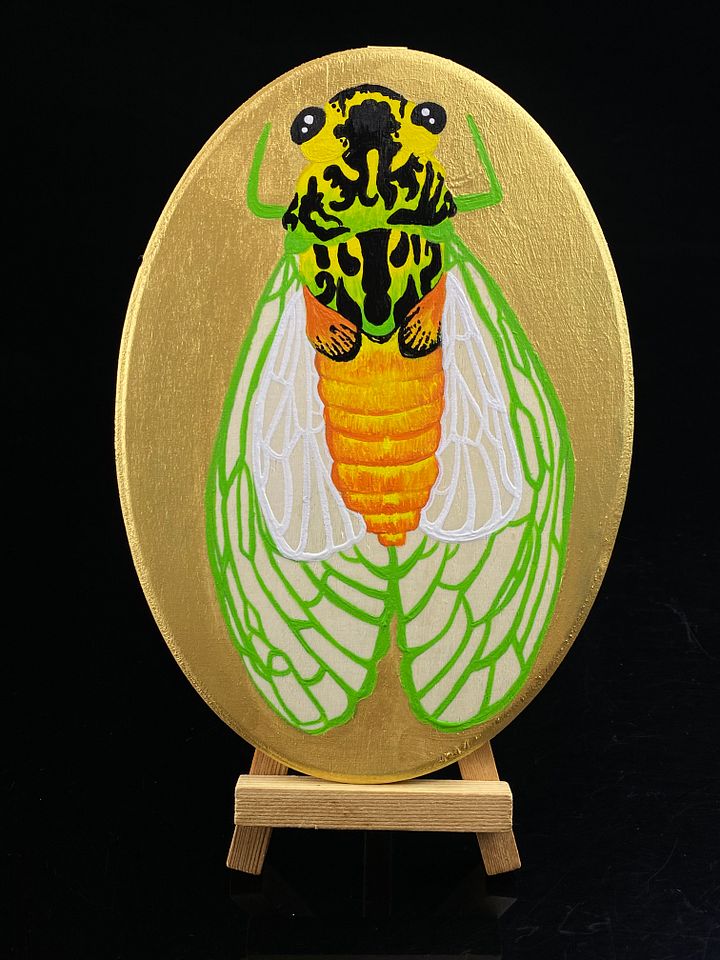 Limon Cicada product image (1)