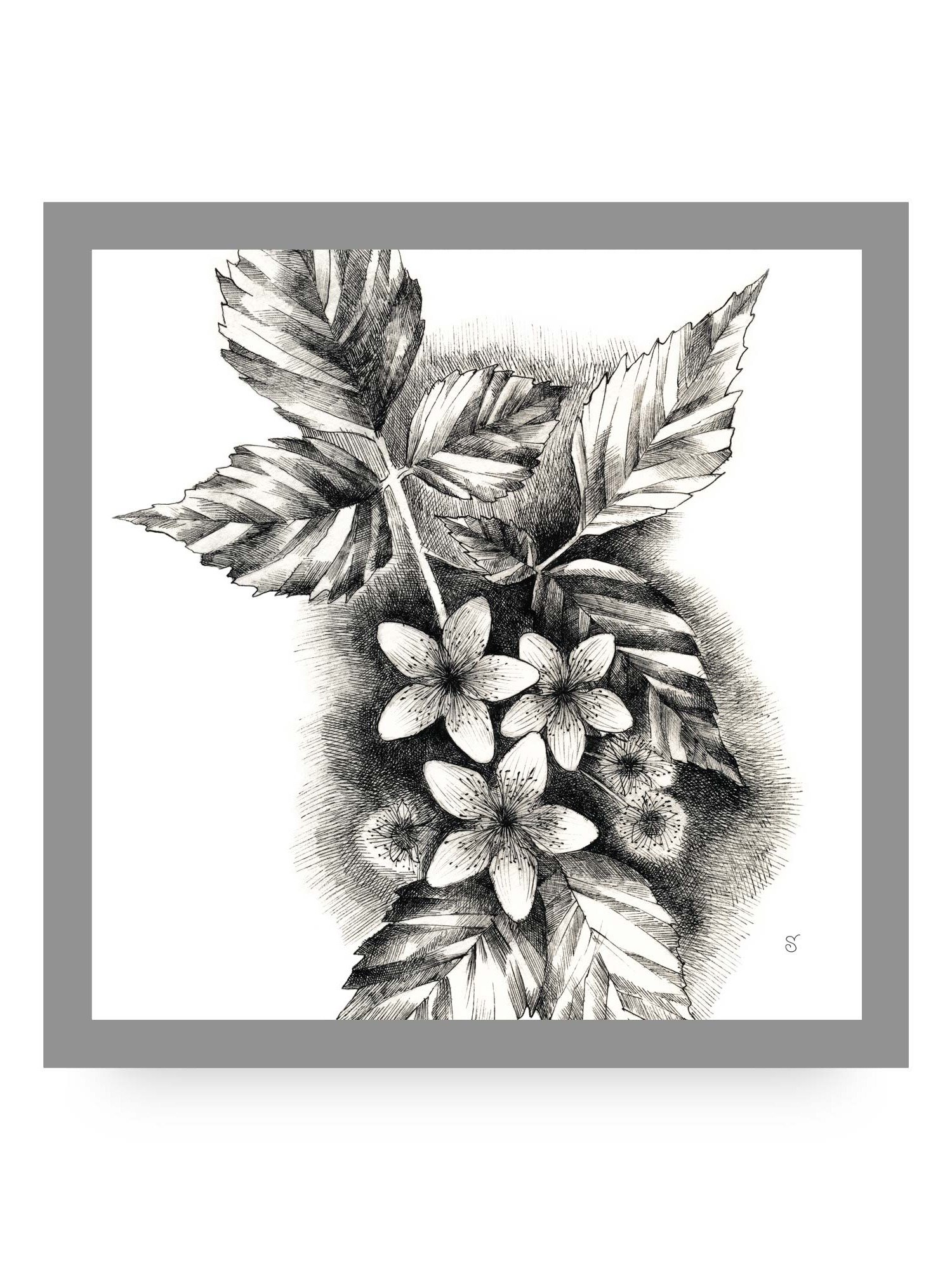 Blank Canvas Masterpieces - Jasmine product image (61)