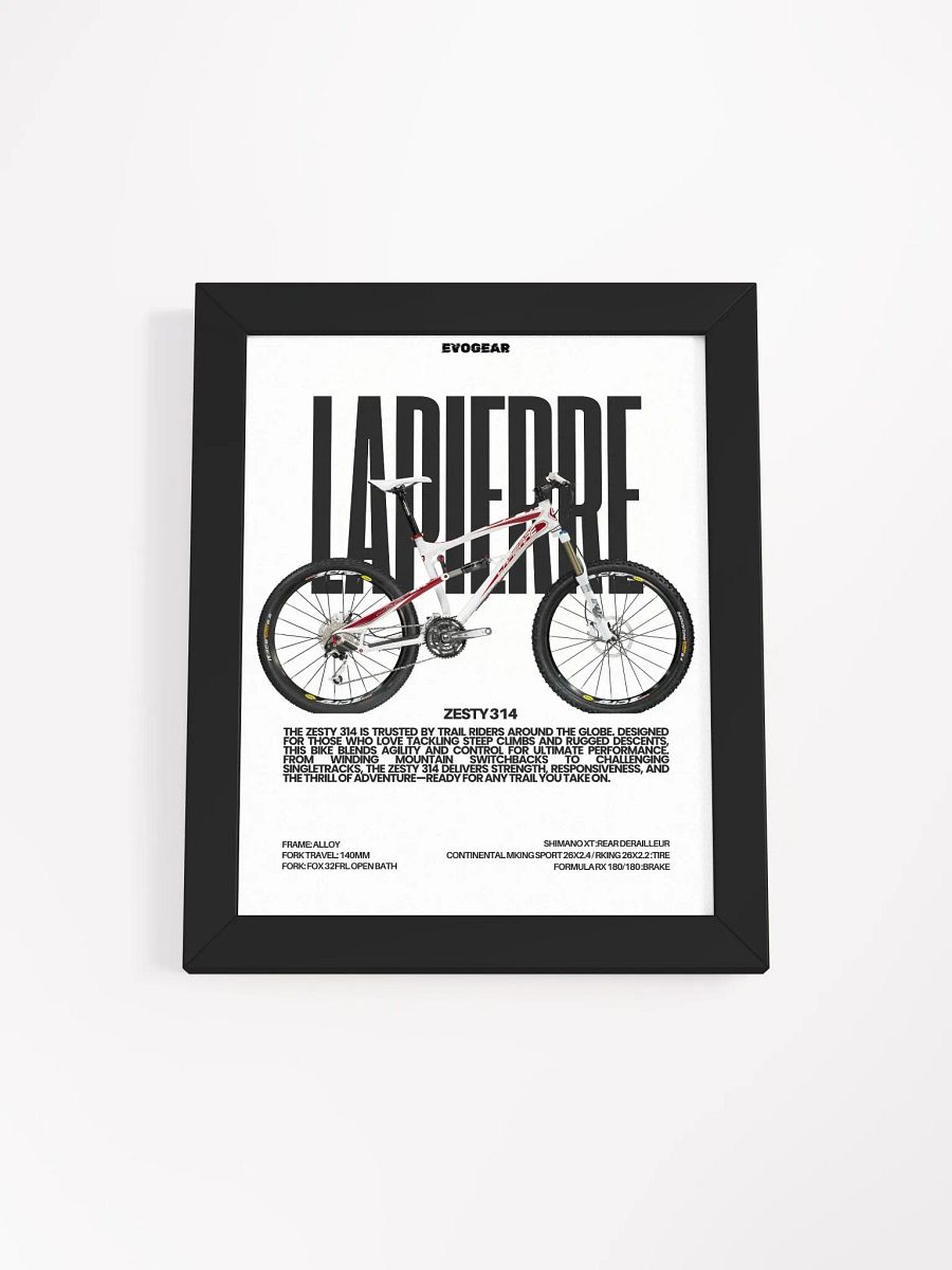 Lapierre ZESTY 314 2010 Frame product image (1)
