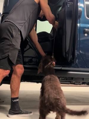 Will she get in the truck? Sometimes you have to think outside the box to get the results you want.  Cocoa made me earn my stripes today! 😬 Momma was happy! 🐶 🎶 Music: Gaming Room Musician: EnjoyMusic Site: https://enjoymusic.ai. #coachcaseyray #tiktok #tiktokdogs #lakehavasu #dogbehaviorexpert #puppytiktok #puppylife #dogsofttiktok #labradoodle #jeep #jeeptruck #confidence #confidenceboost #puppytraining #puppytrainingtips 