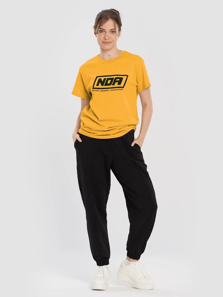 National Dodgeball Association T-Shirt (Dark) product image (1)