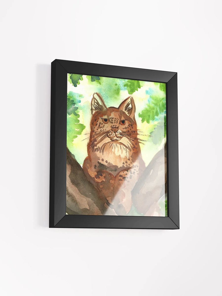 Lynx In A Tree Framed Print product image (6)