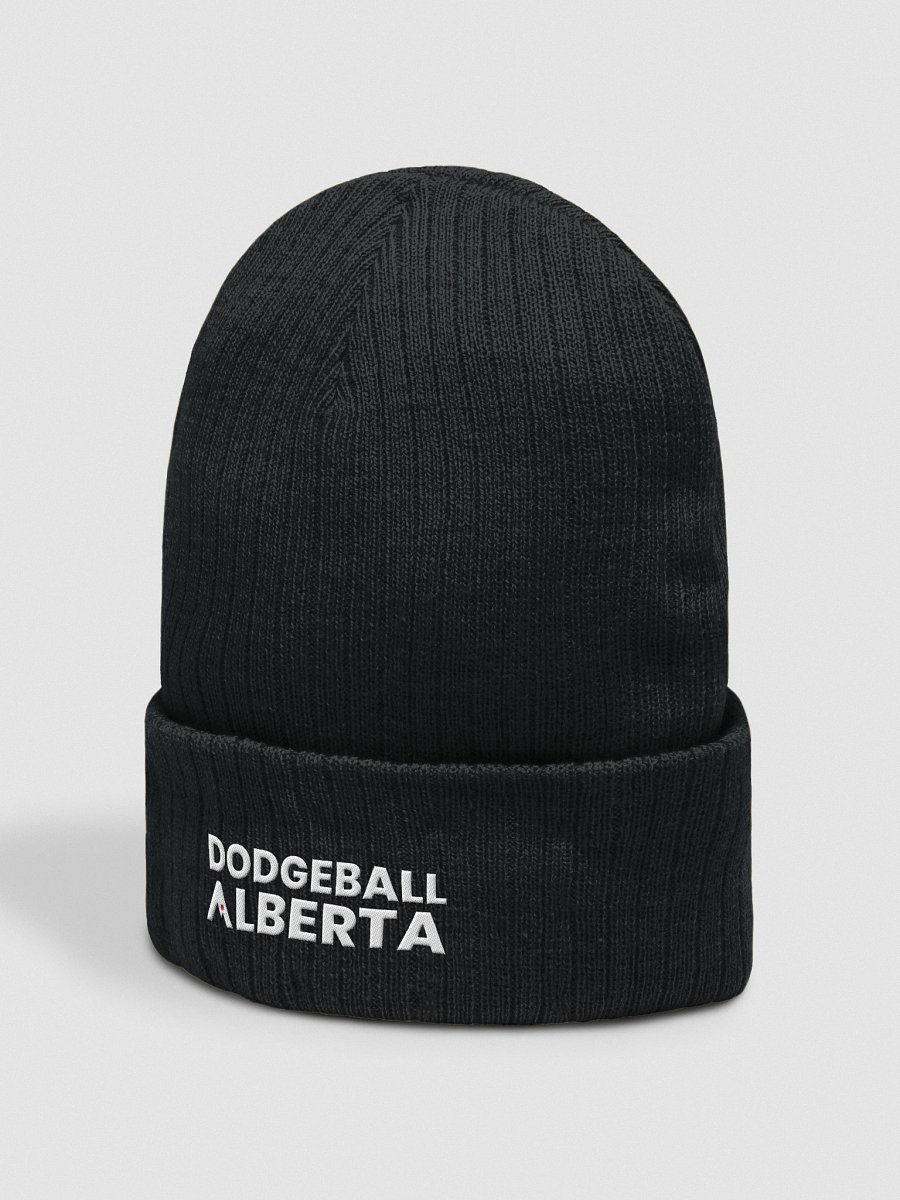 Alberta Dodgeball Touque product image (2)