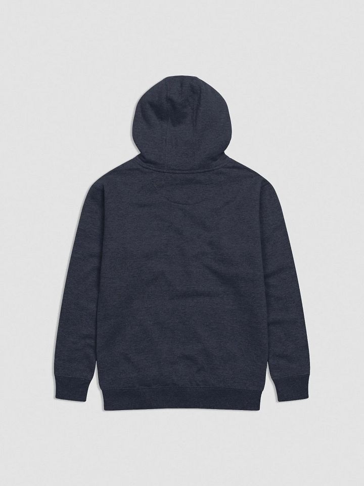 Embroidered Hoodie product image (10)