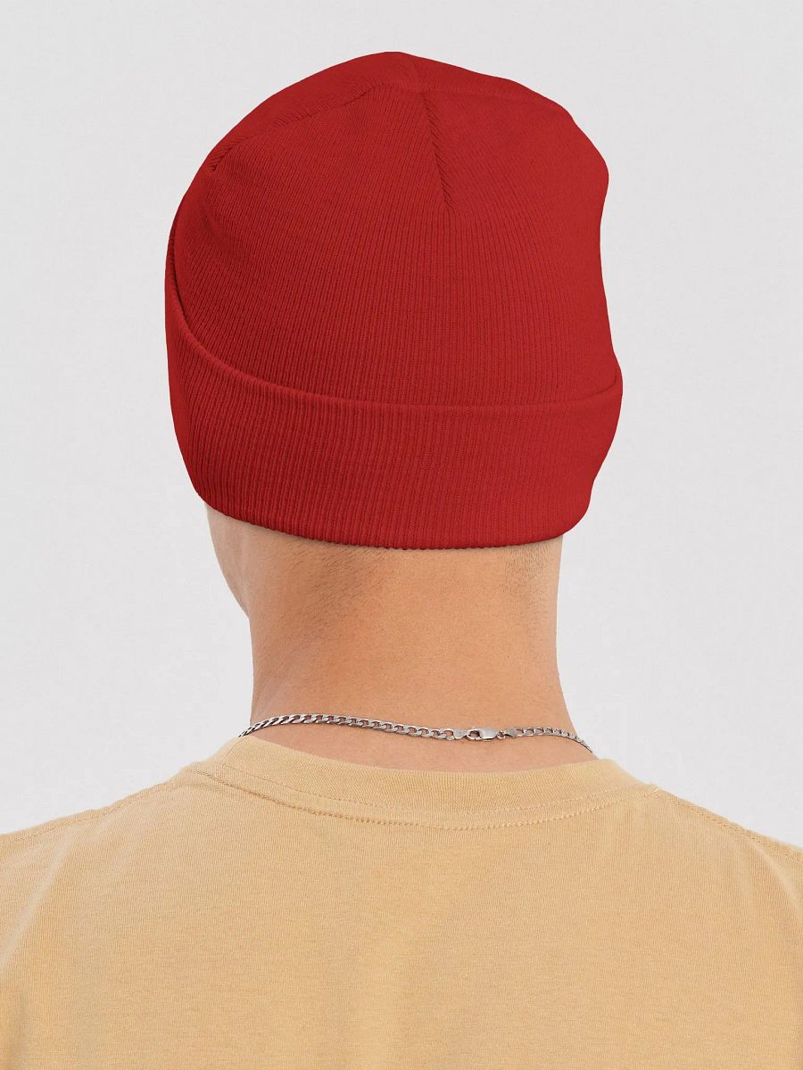 Juggernaut Knit Beanie product image (11)