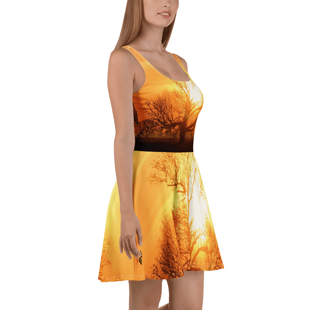 'Moods III' Skater Dress product image (3)