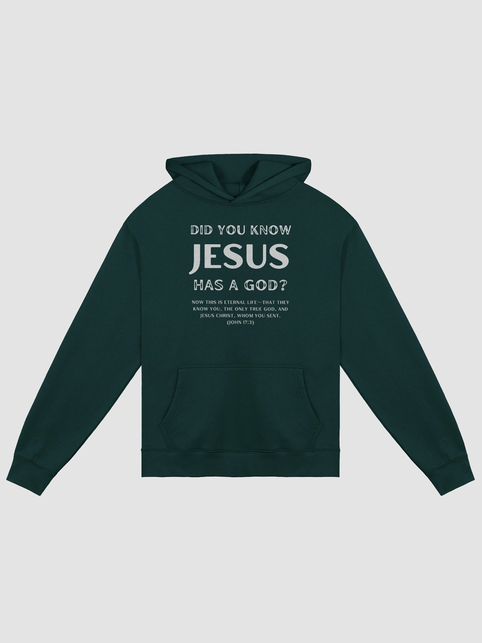 Jesus Has a God Premium Oversized Hoodie product image (2)