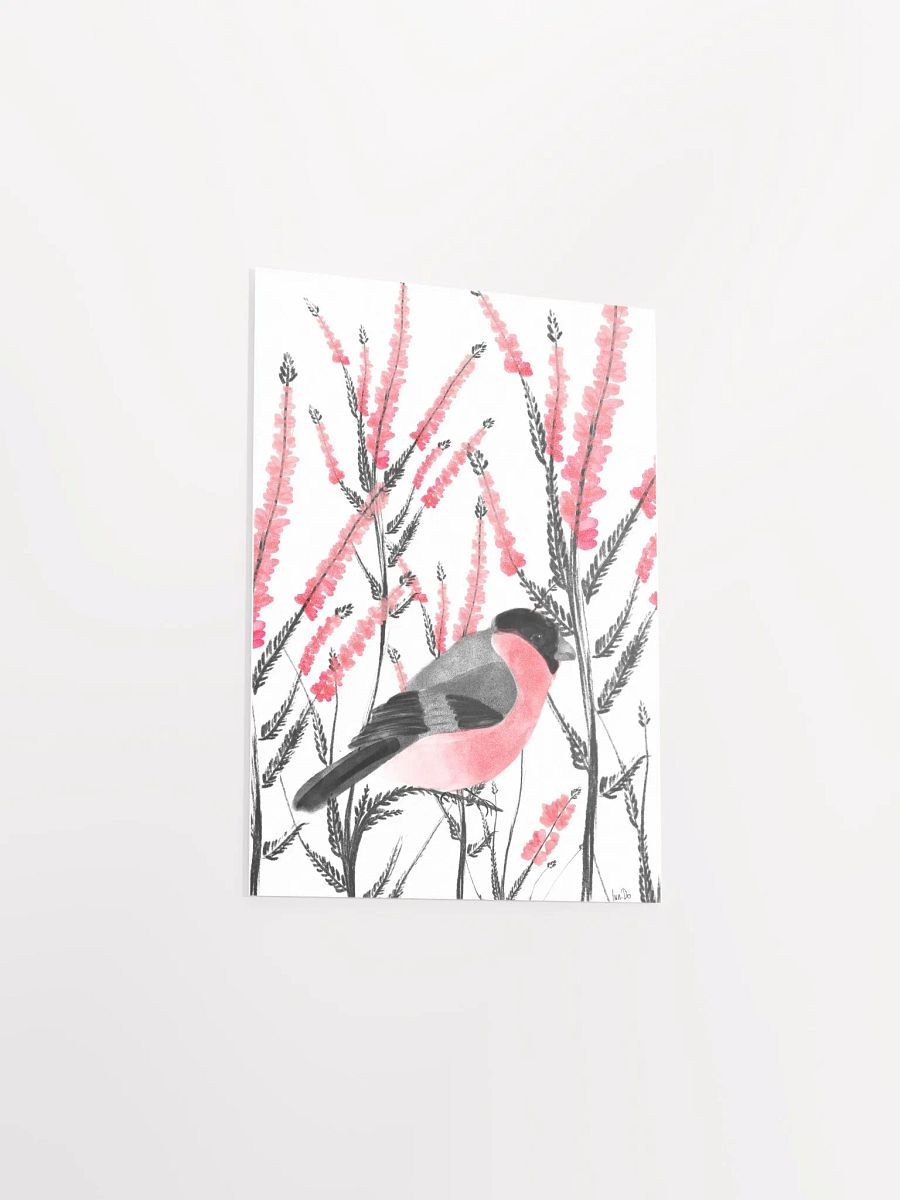 beautiful bullfinch product image (3)