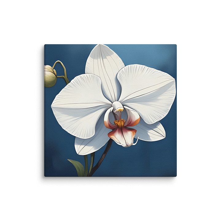 Single White Orchid Canvas product image (1)