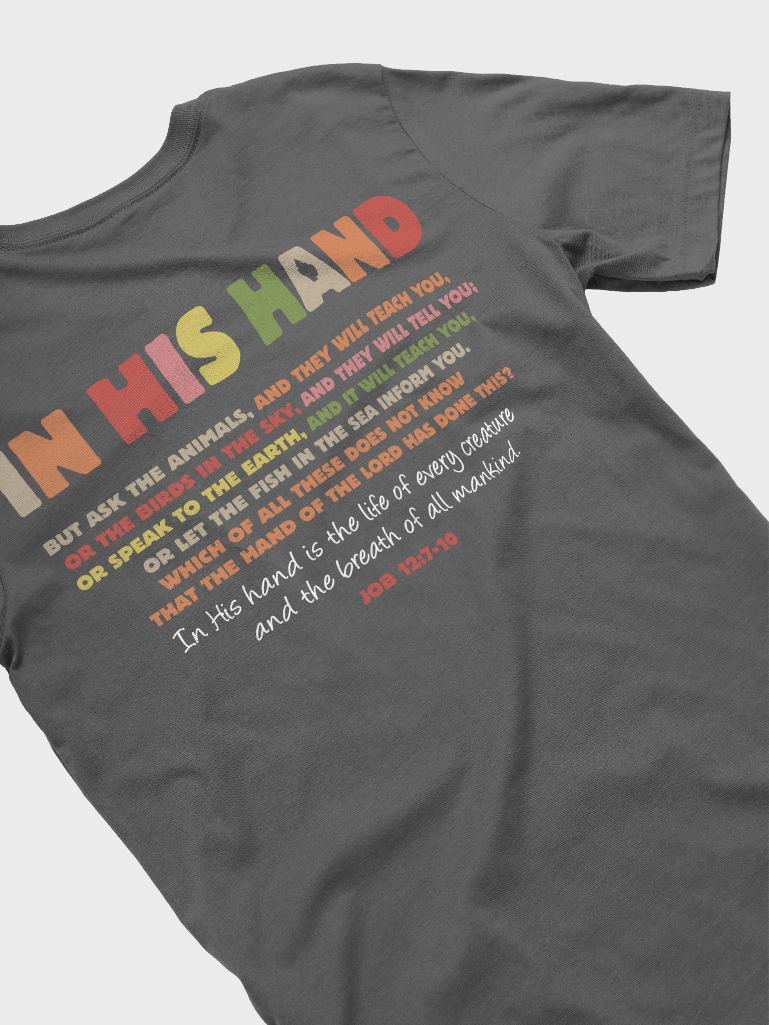 In His Hand Scripture T-Shirt product image (4)