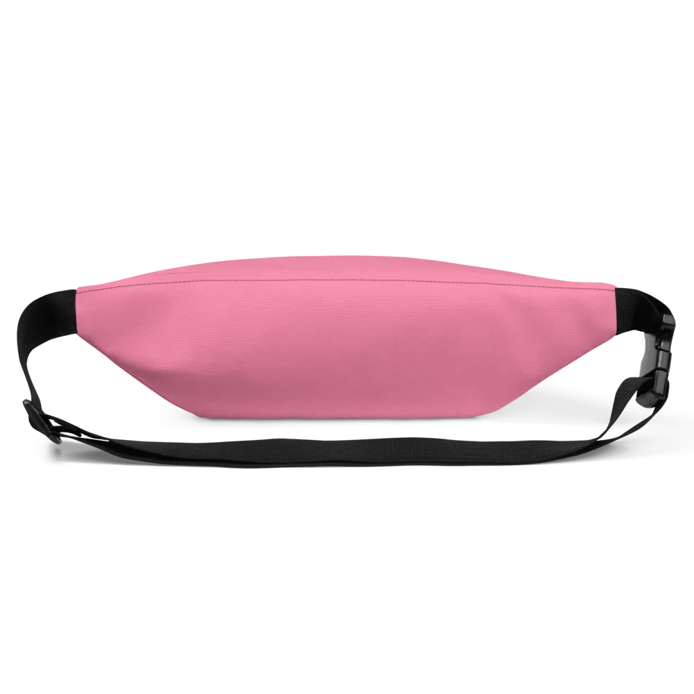 BIG DOG FANNY PACK product image (3)