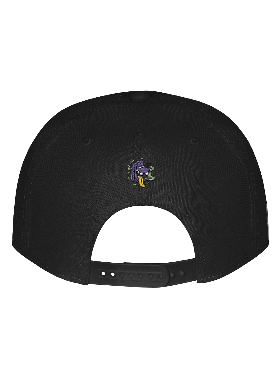 Official Lil Bizzy Snapback product image (62)