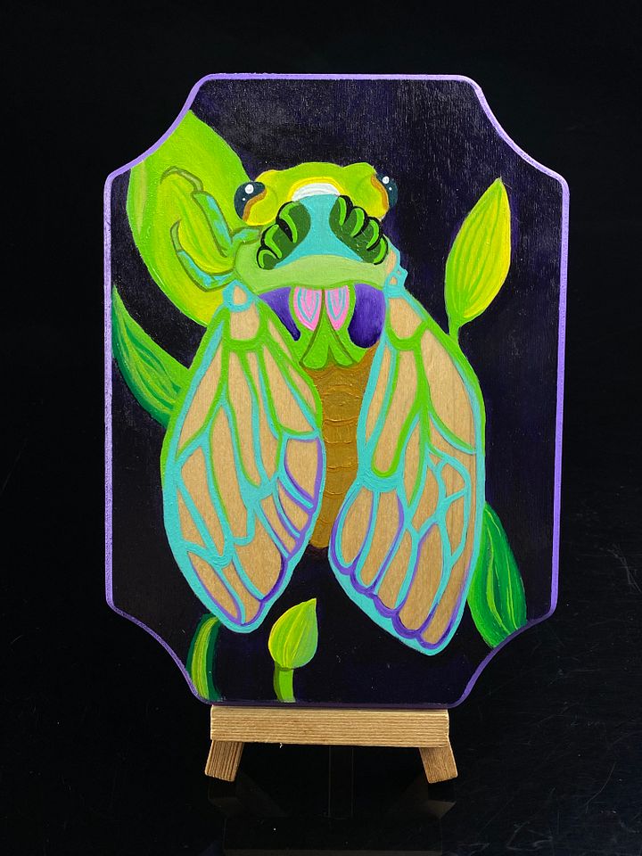 Cicada product image (1)