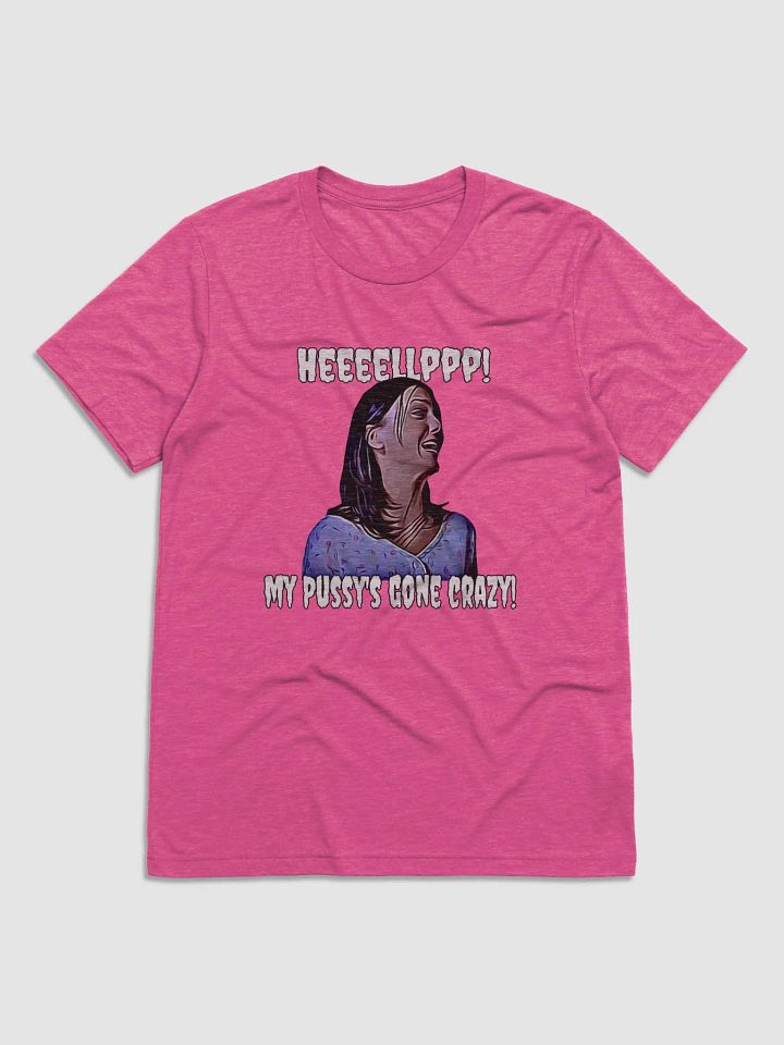 Help! my pussy's gone crazy! Bella+Canvas Triblend Short Sleeve T-Shirt product image (1)
