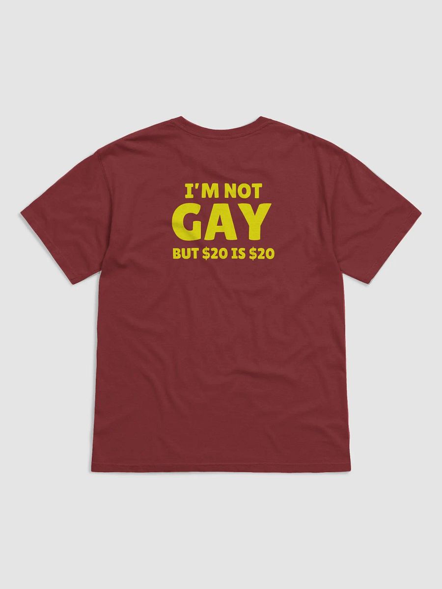 Not Gay But $20 is $20 Back Print Unisex Tee product image (1)