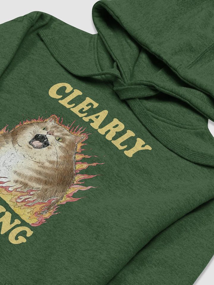 Clearly Thriving Hoodie (BB x CH) product image (2)