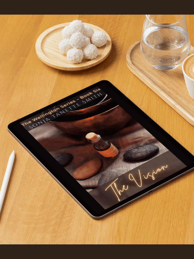 The Vision (Wellington Series | Book Six) by Sonja Tanette Smith product image (2)