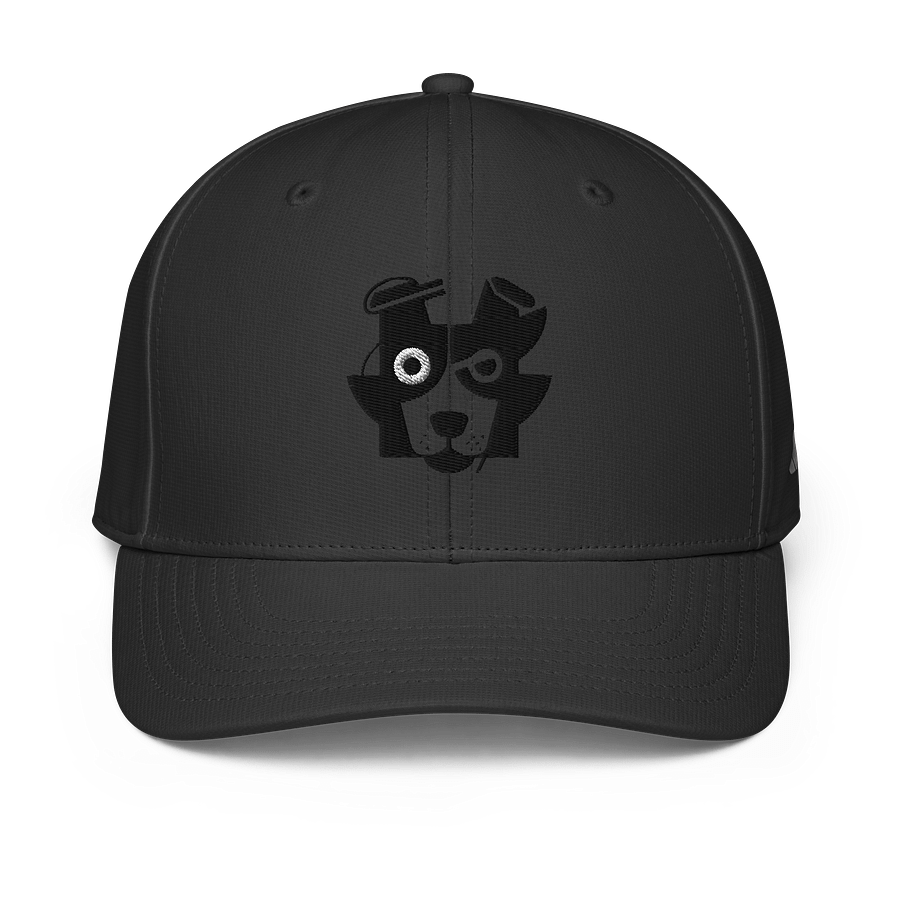 Whiskered Visionary Cap product image (3)