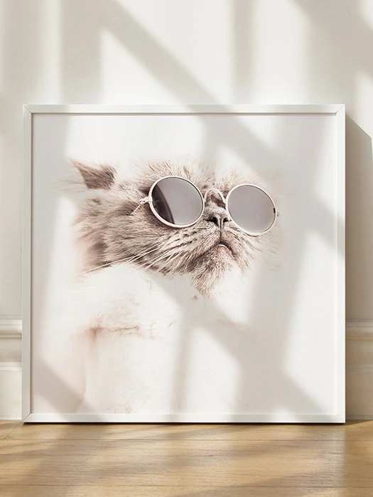 Cool Cat Square Poster product image (1)