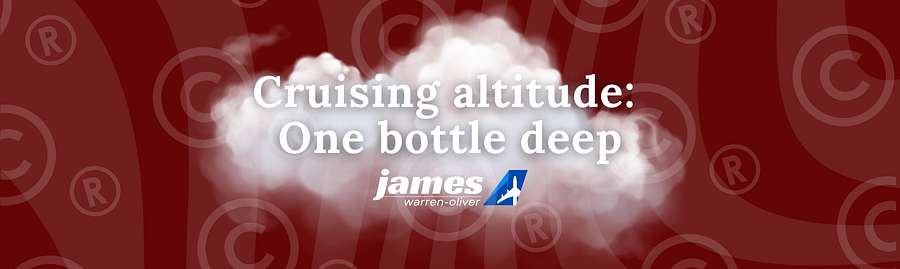 🍷 Cruising Altitude: One Bottle Deep - Traveller’s Wine Tumbler product image (3)