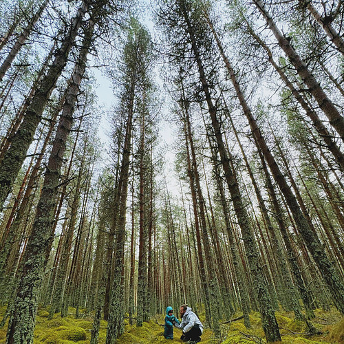 I love being outside in Nature.. but it’s awesome now being able to share it with my son, Jak! 🥰🌲 

This was in the #caingorm...