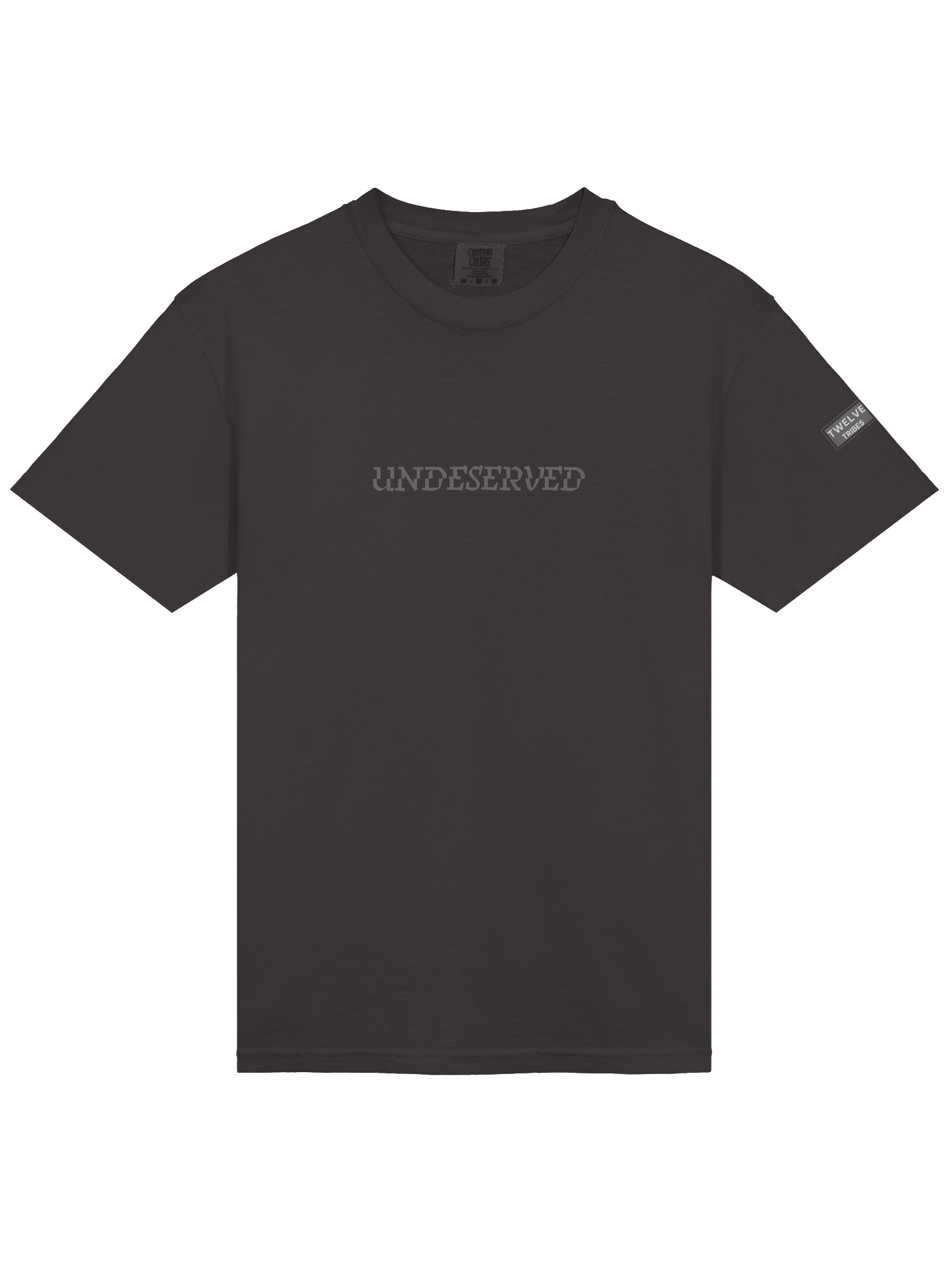 Undeserved Premium T-Shirt product image (3)