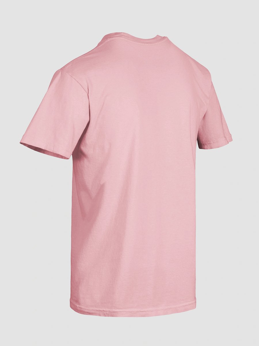 Gen Z Future Bestselling Author Tee product image (9)
